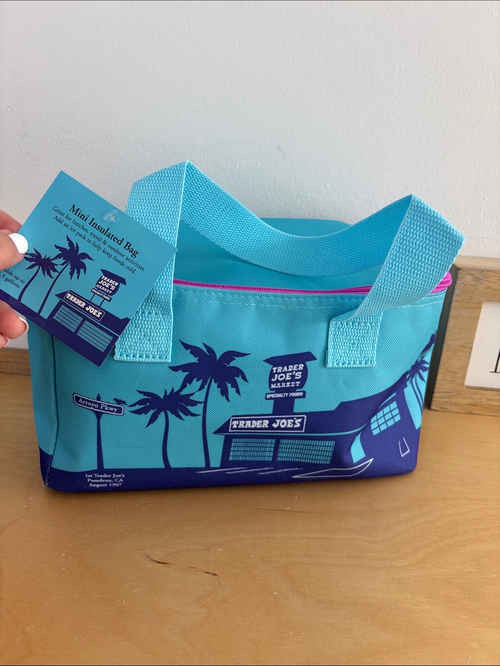Trader Joe's Turquoise Mini Insulated Lunch  Bag NWT